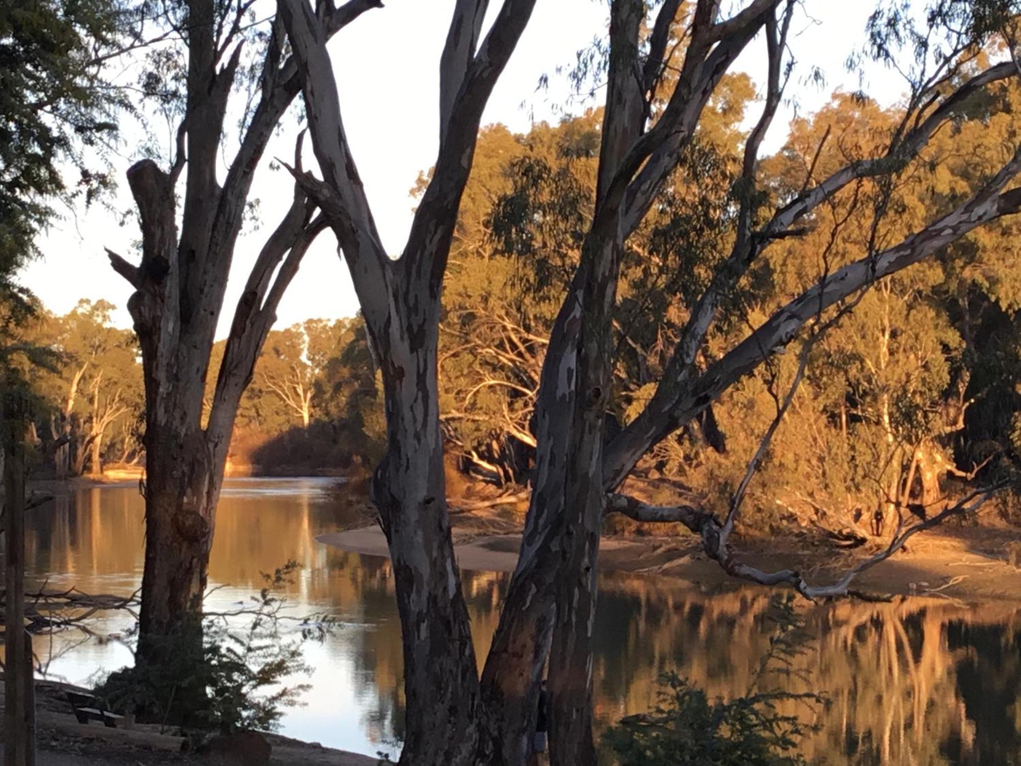 Deniliquin Riverside Caravan Park Exterior photo