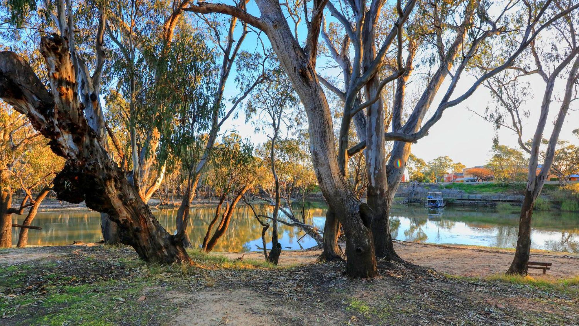 Deniliquin Riverside Caravan Park Exterior photo
